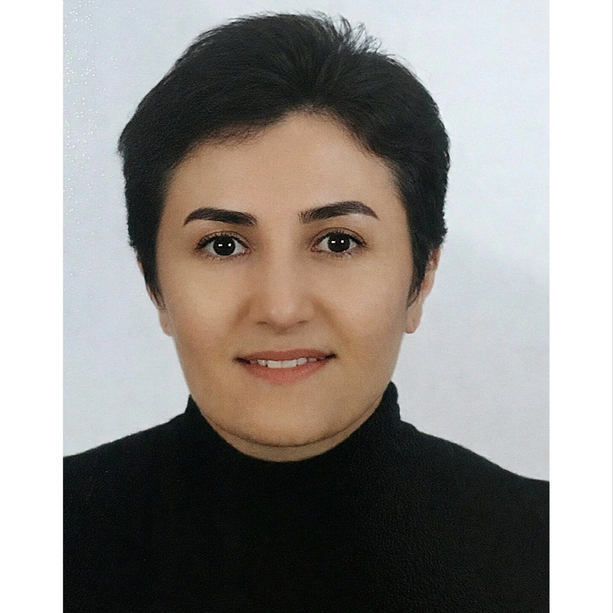 Maryam Gholizadeh